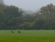 Gatwick_the_waterhall_country_house_hotel_views_ Gatwick_the_waterhall_country_house_hotel_views_