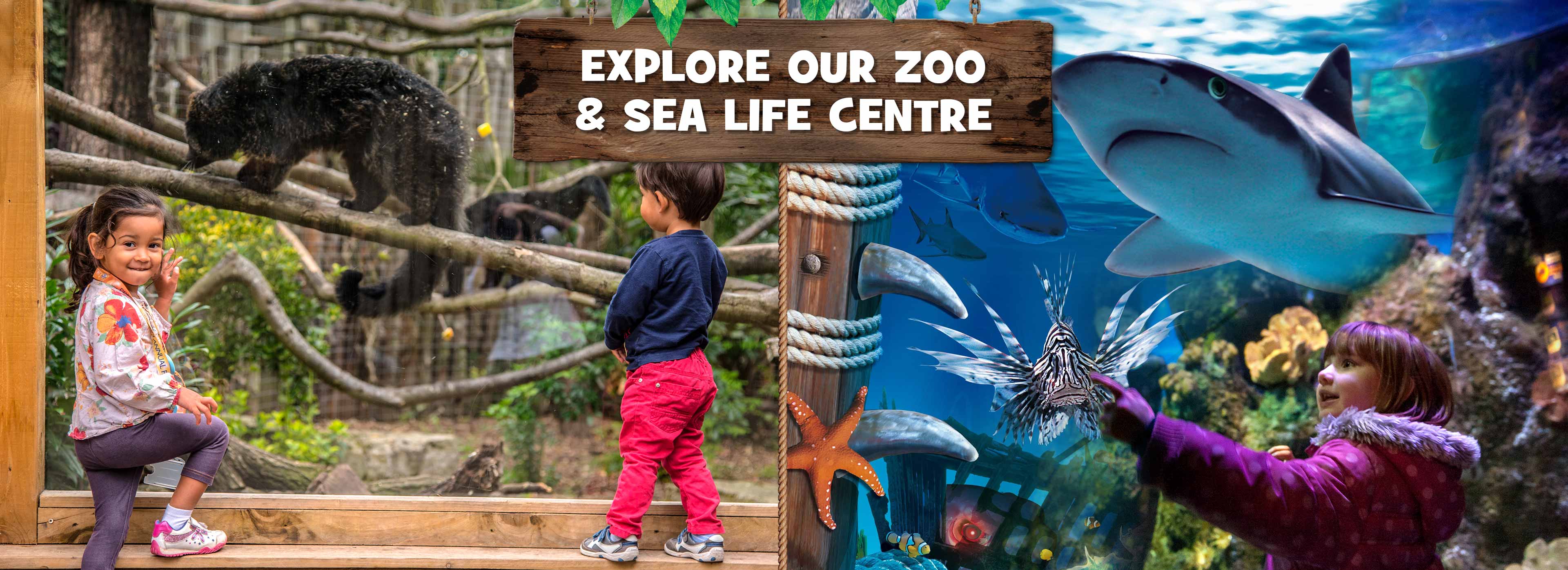 Chessington Zoo and SEA LIFE centre