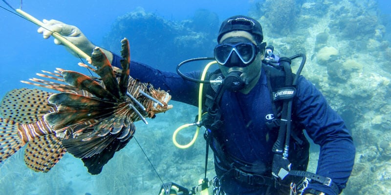 Lionfish diver