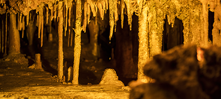 Coves d'Arta Tropfsteinhöhle