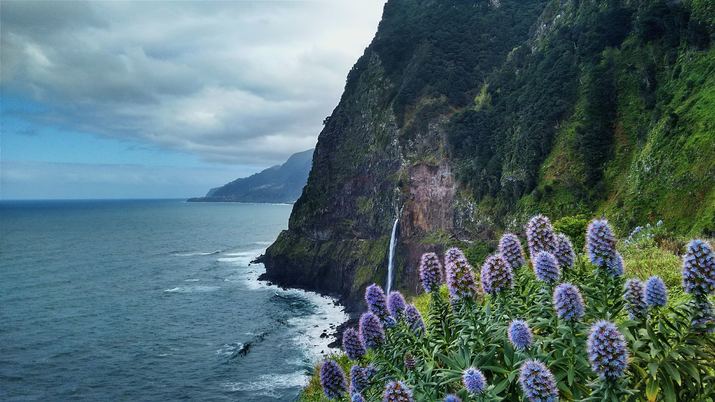 die Blumeninsel Madeira Madeira