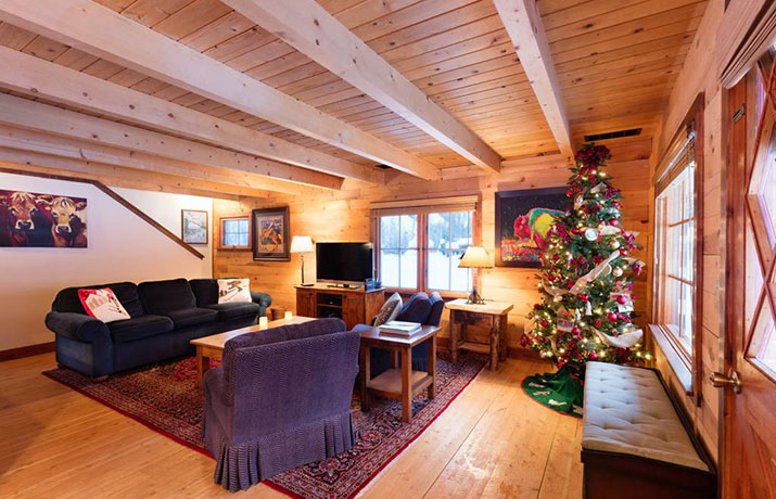 Huette in den USA Wohnzimmer Blockhuette